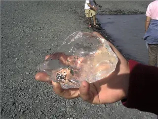 small_071499 alaskaDSC00010.webp